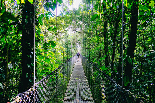 Adventure travel in Costa Rica featuring rainforest hikes, canyoning, and volcano expeditions curated by Outer Experiences