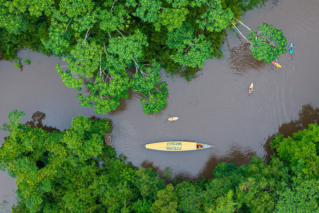 Tambopata active Amazon experience