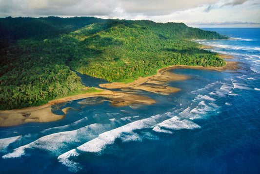 The most biologically intense place on Earth: Your complete guide to multi-day expeditions in Costa Rica's Corcovado National Park