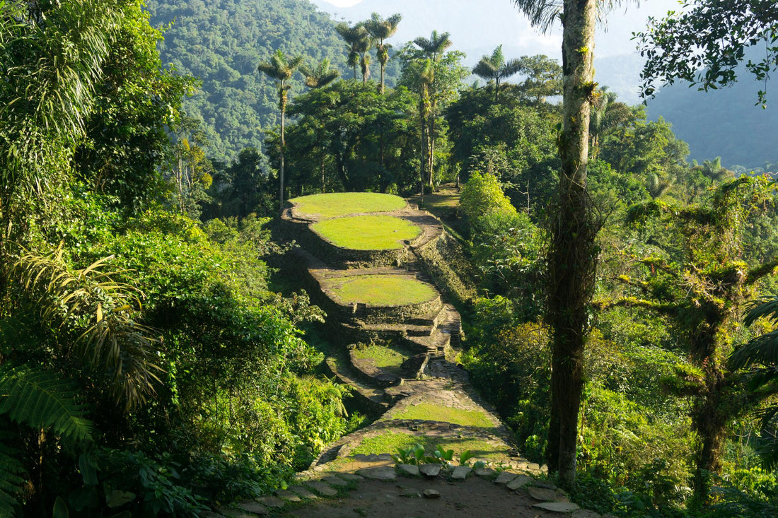 The city that was never lost: The true story behind Colombia's most extraordinary trek