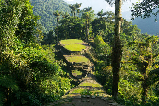The city that was never lost: The true story behind Colombia's most extraordinary trek