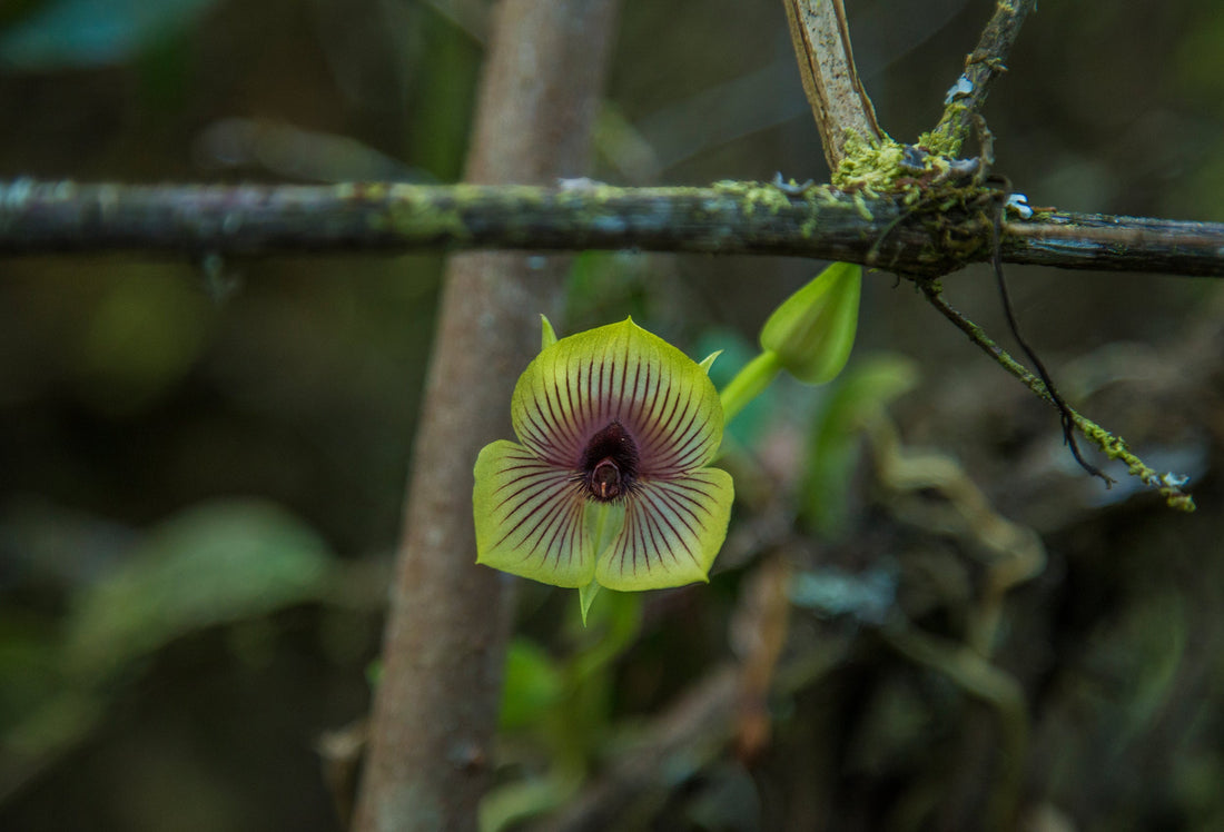 Regenerative adventure travel: How to explore and give back