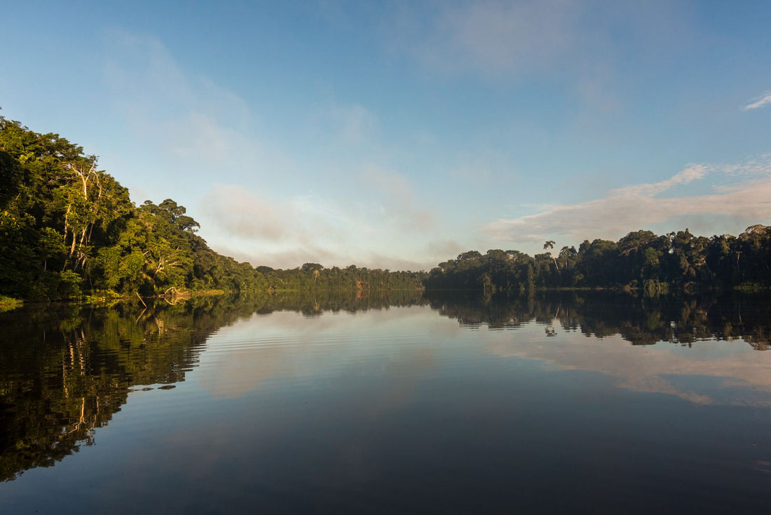 The accessible Amazon: your complete guide to a wildlife expedition in Peru's Tambopata National Reserve