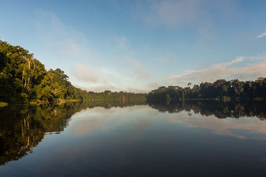The accessible Amazon: your complete guide to a wildlife expedition in Peru's Tambopata National Reserve