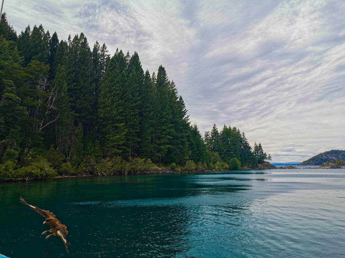 Hut to hut through the granite heart of Patagonia: your complete trekking guide to Bariloche's Nahuel Huapi Traverse