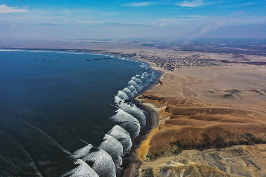 Long clean waves rolling along the coastline of Chicama under soft morning light.
