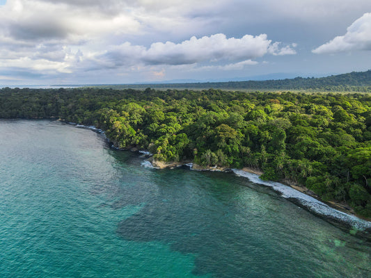 Red frogs, reef sharks, and cloud forest trails: your complete adventure guide to Panama's Bocas del Toro archipelago