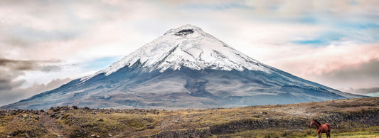 The Midnight glacier: your complete guide to climbing Cotopaxi, the world's highest active stratovolcano