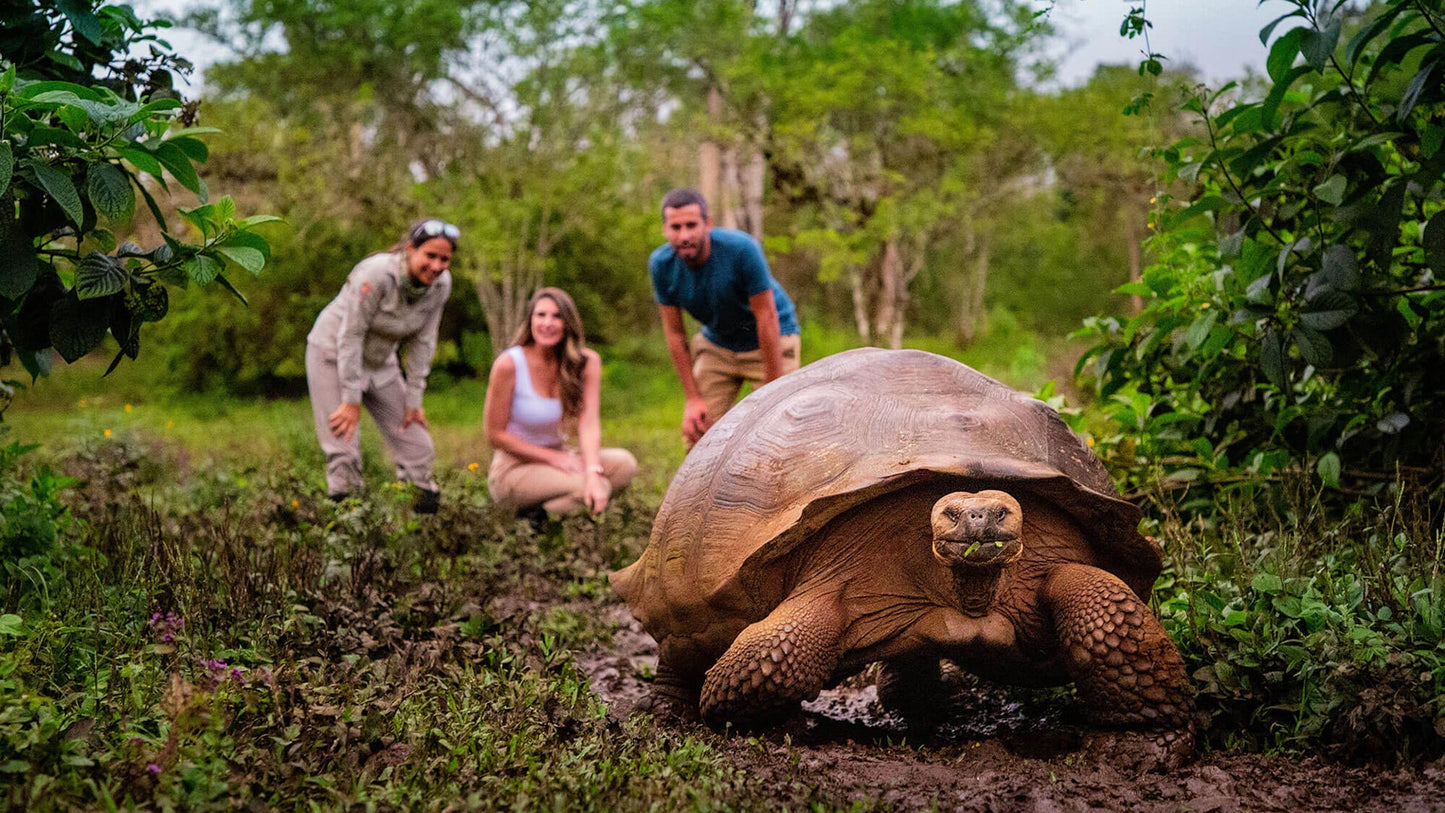 Discover Galapagos in 8 days – Once in a lifetime premium journey