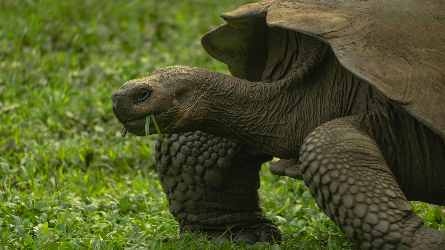 Island hopping in Galapagos