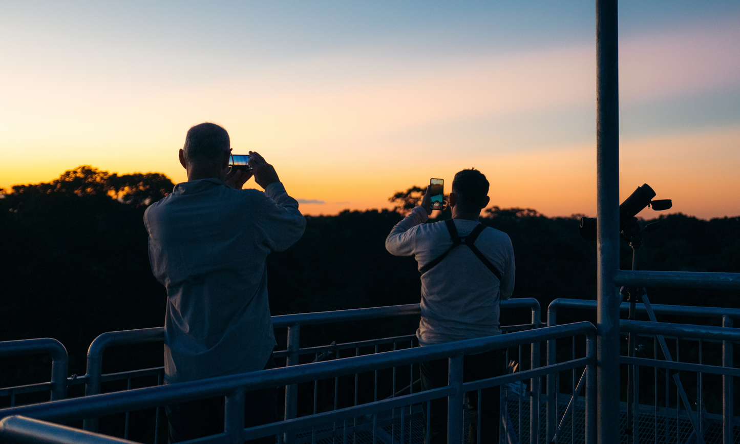 Amazon jungle lodge adventure in Tambopata