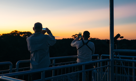 Amazon jungle lodge adventure in Tambopata
