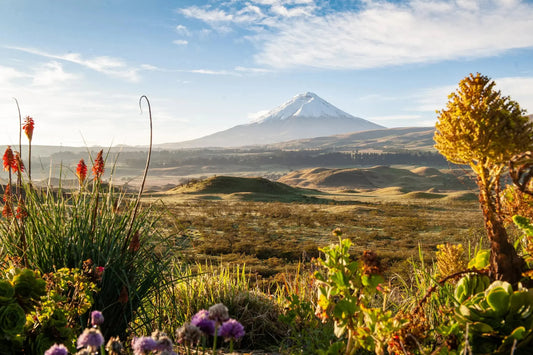 Multiadventure through Ecuador