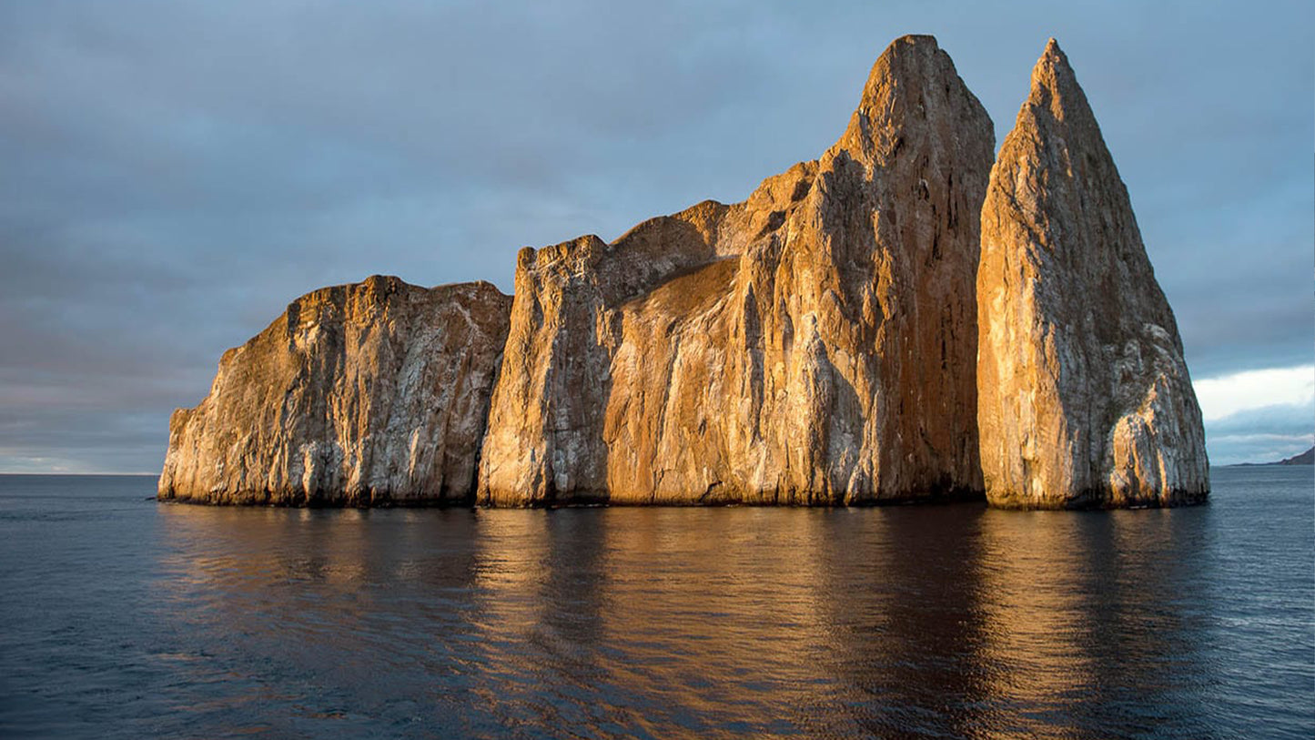 Discover Galapagos in 8 days – Once in a lifetime premium journey