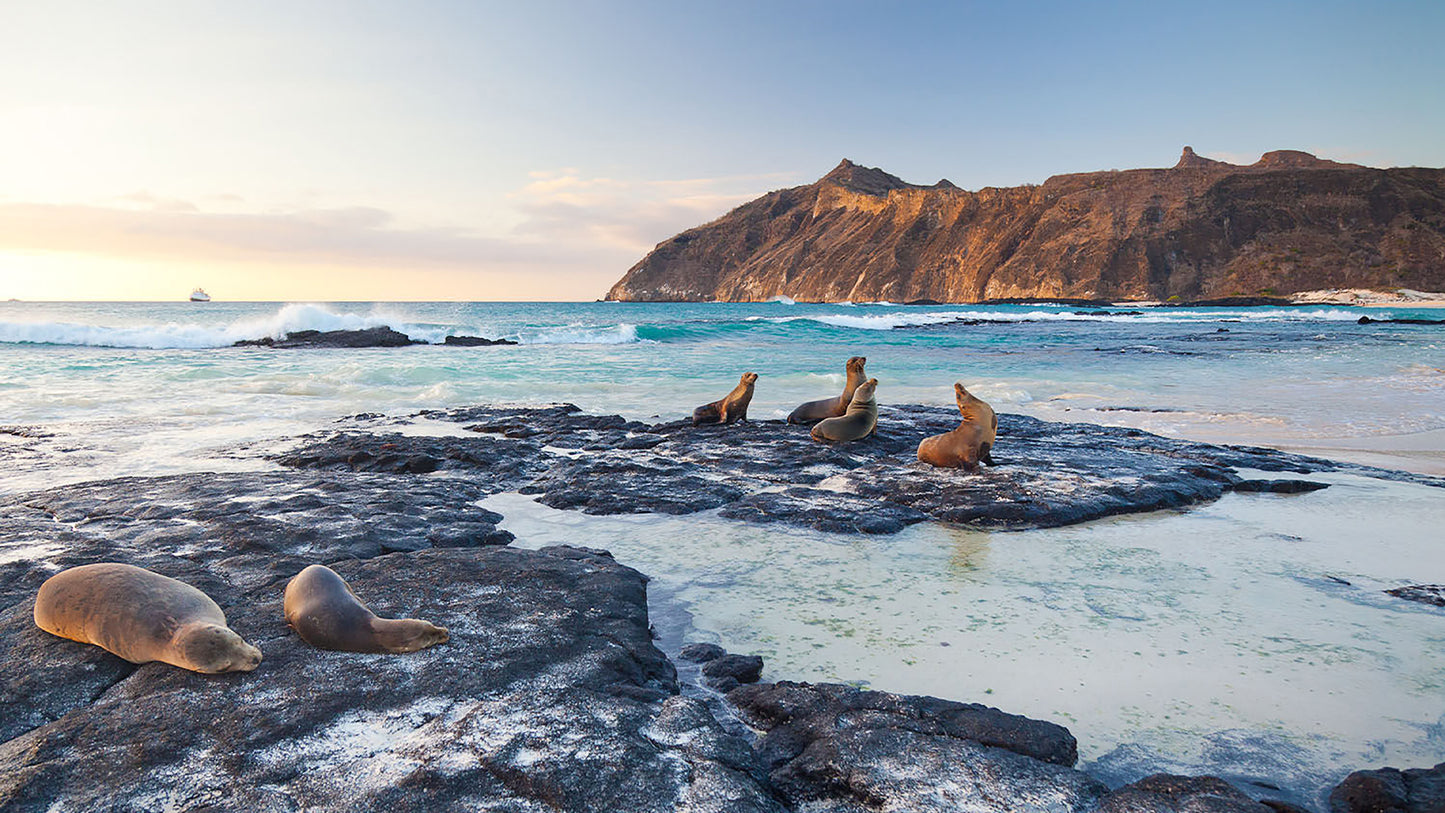 Discover Galapagos in 8 days – Once in a lifetime premium journey