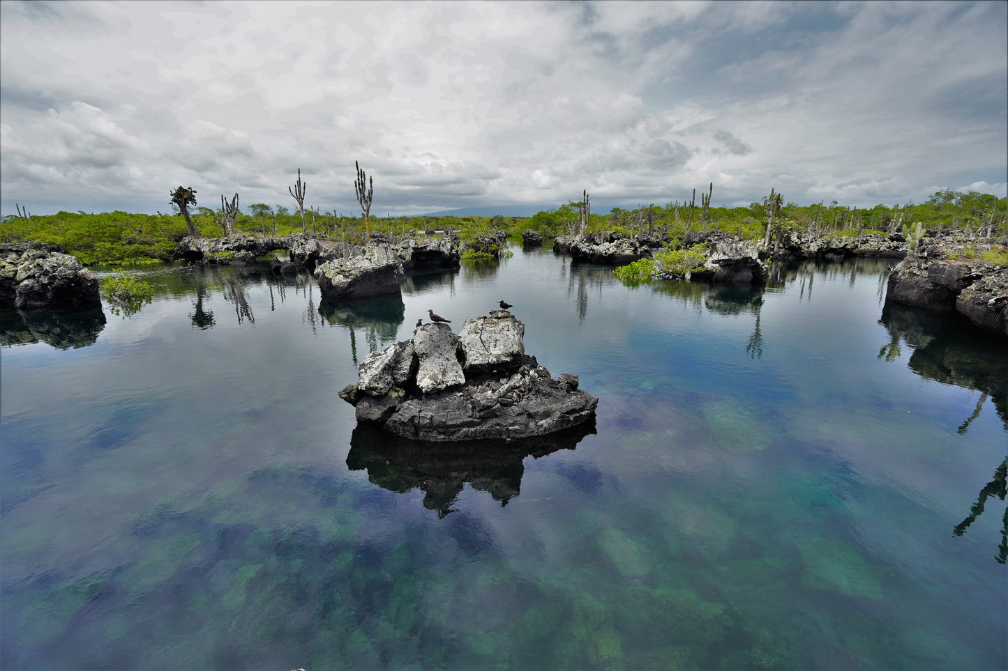Island hopping in Galapagos