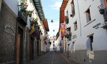 Ecuador multi-adventure trip – Andes to Amazon