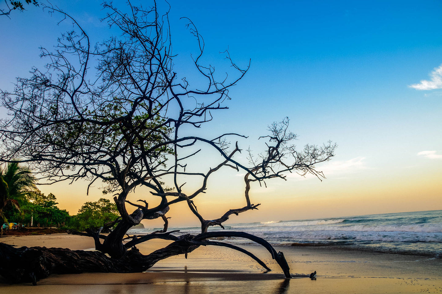 8-Day Surf & Yoga Camp in Costa Rica