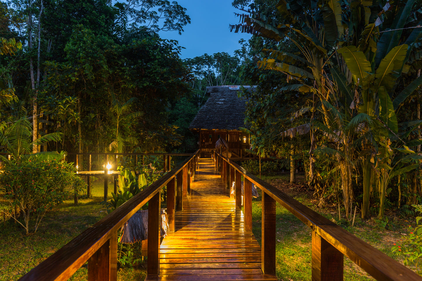 Amazon jungle lodge adventure in Tambopata
