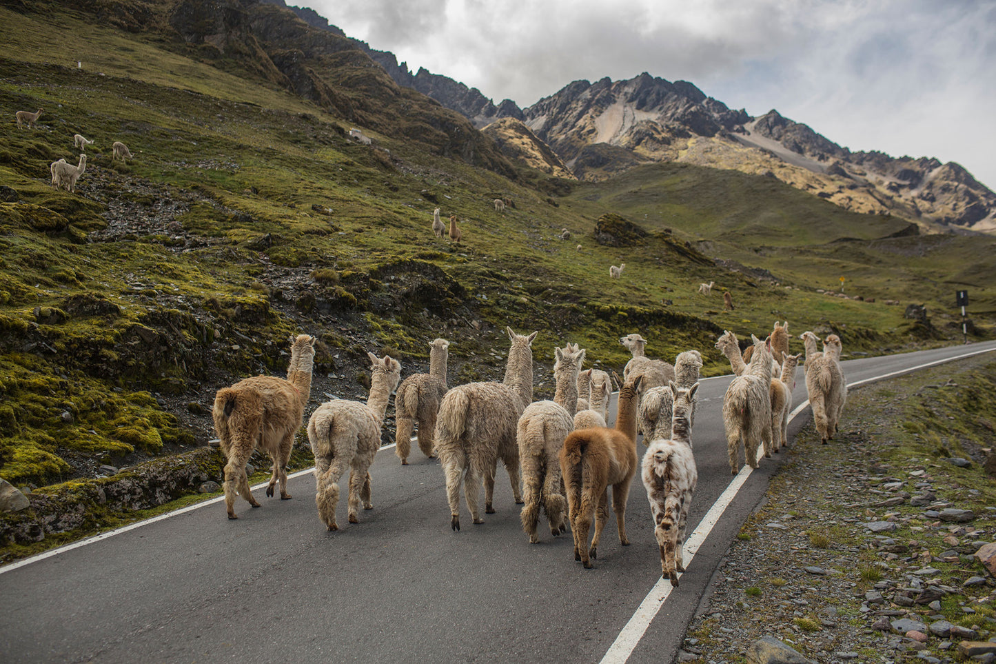 Discover the Cusco, the active way