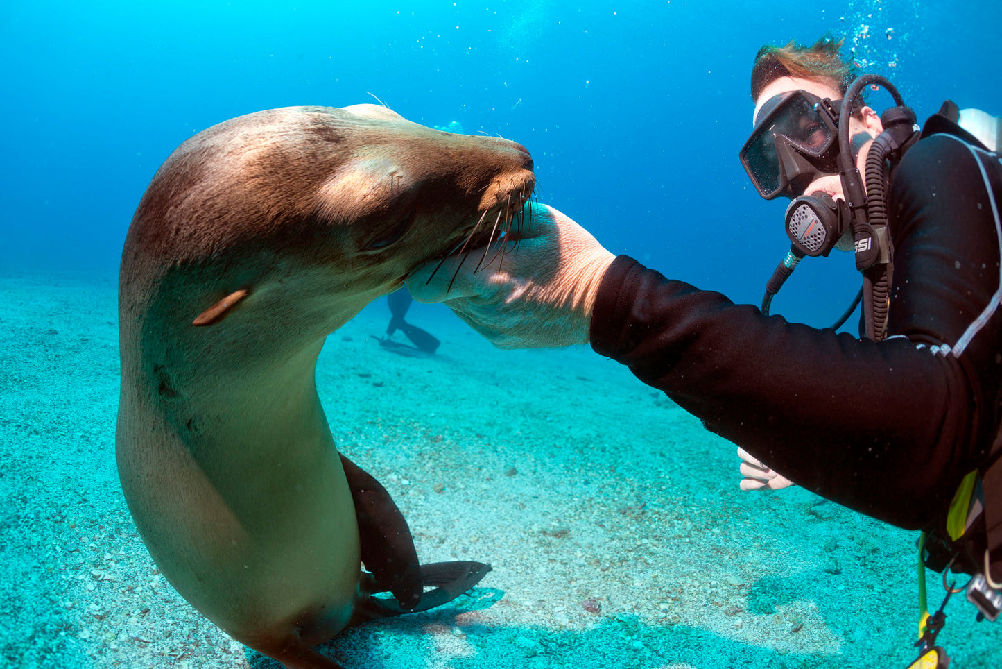 Island hopping in Galapagos