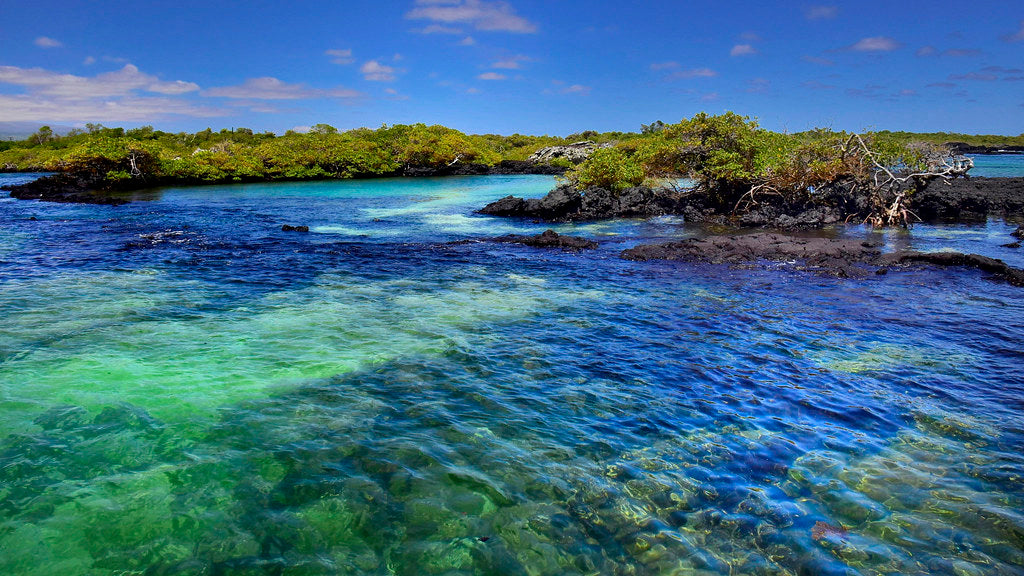 Discover Galapagos in 8 days – Once in a lifetime premium journey