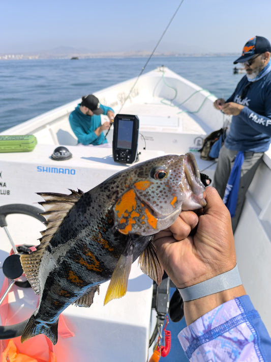 Pachacamac Archipelagos Fishing Expedition – 6 Hours (Private Boat)