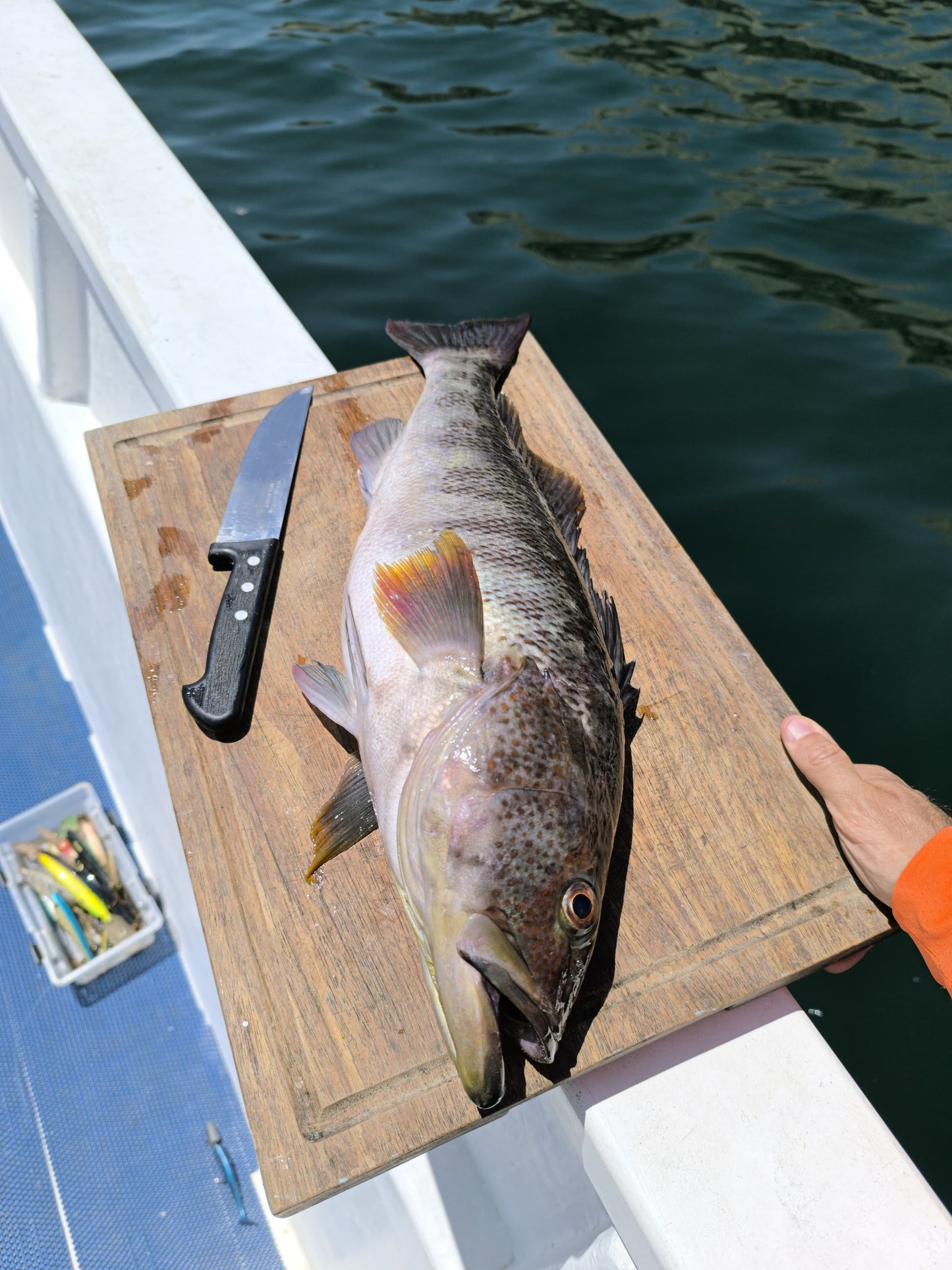 Pachacamac Archipelagos Fishing Expedition – 6 Hours (Private Boat)