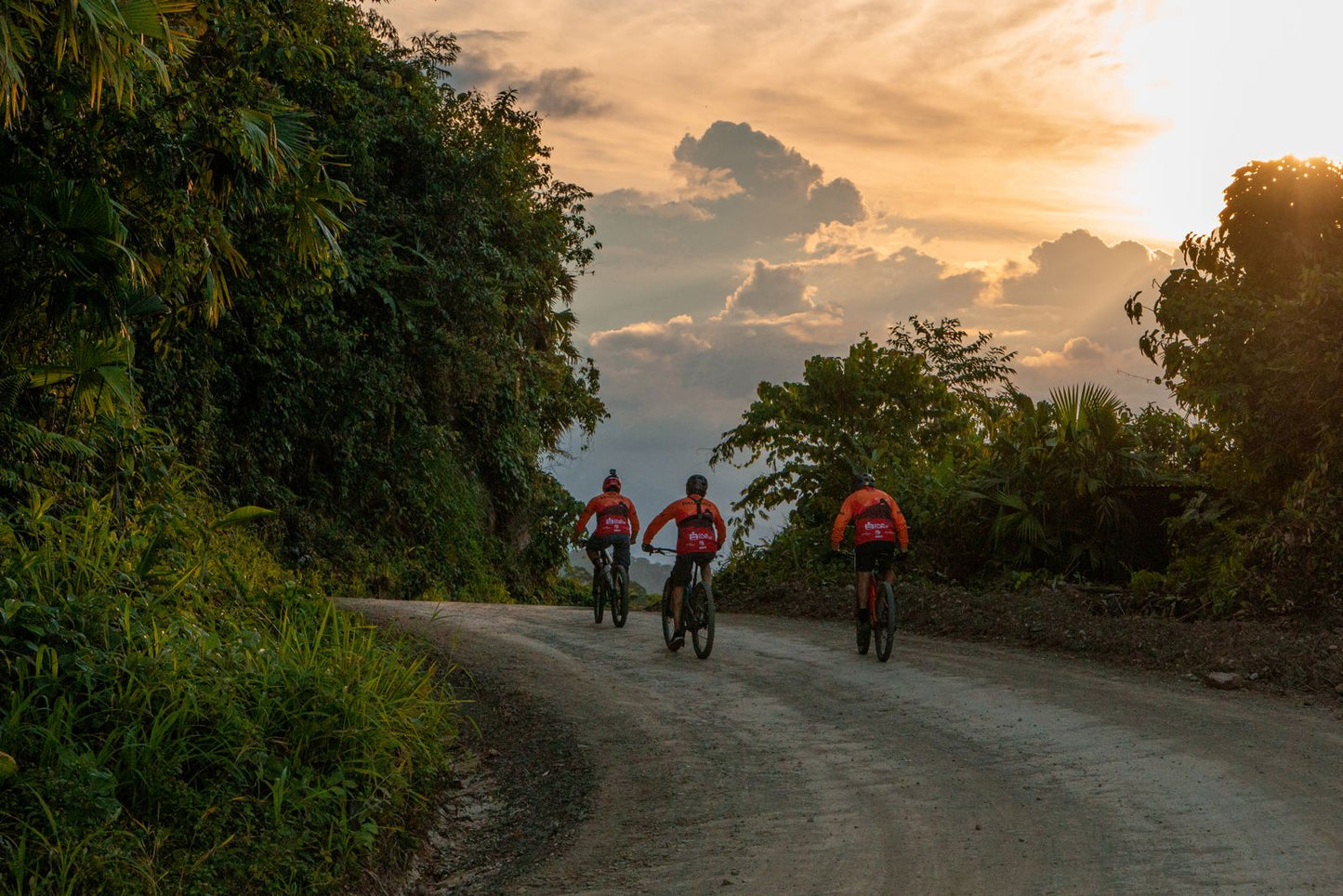 Bike from the Andes to the Amazon