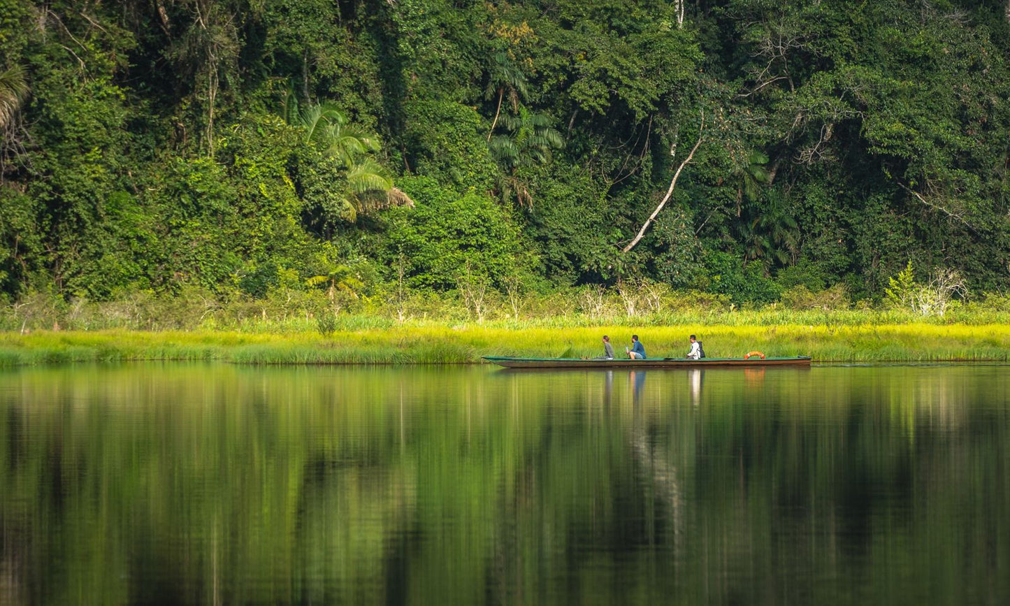 Amazon jungle lodge adventure in Tambopata