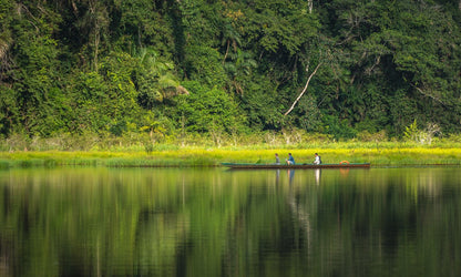 Amazon jungle lodge adventure in Tambopata