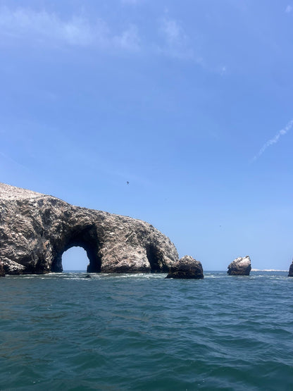 Coast to desert 1 day experience: Ballestas islands and Huacachina oasis