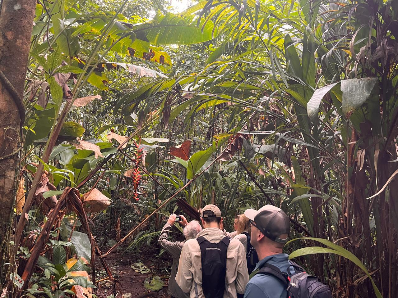 Trek the Camino de Costa Rica – 10 Days of Adventure Across the Heart of Pura Vida