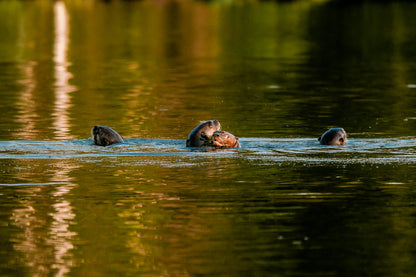 Tambopata active Amazon experience
