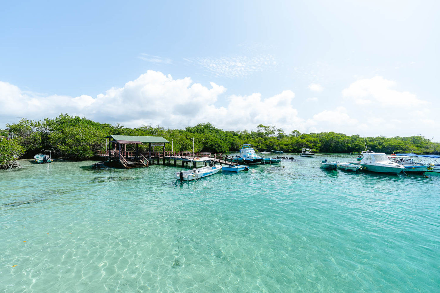 Island hopping in Galapagos