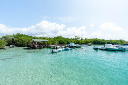 Galapagos island hopping – 7-day wildlife adventure