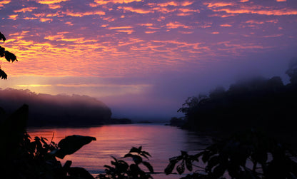 Tambopata active Amazon experience