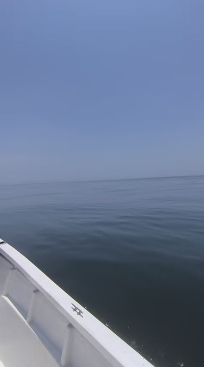 Offshore Fishing Expedition – 8 Hours on a 30ft Boat (Private)